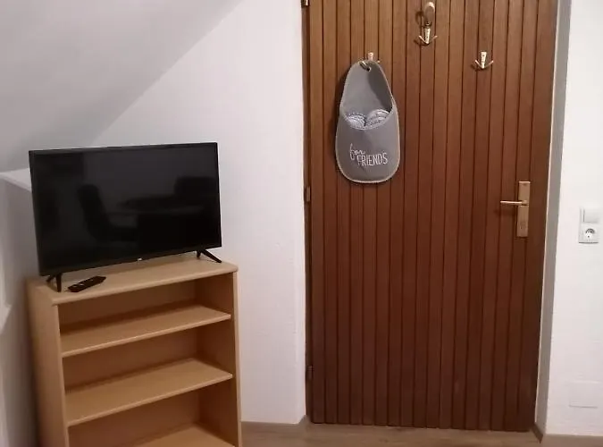 Moser Appartement Lutzmannsdorf