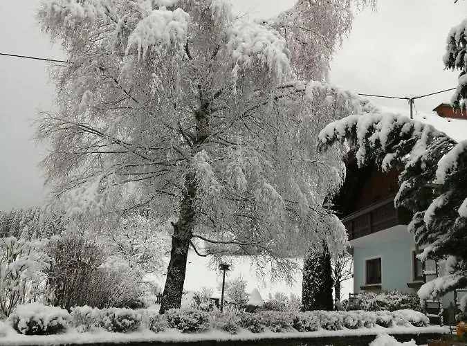 Moser Appartement Lutzmannsdorf